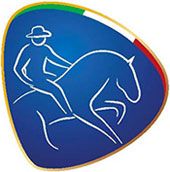 Icona Reining - WEG 2018