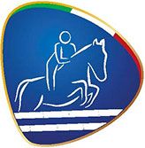 Icona Salto - WEG 2018