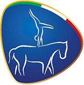 Icona Volteggio - WEG 2018