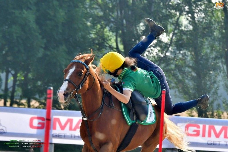 Aggiornamento del Libro XXIV - Formazione Arbitri e Direttori di Campo Club/Mounted Games