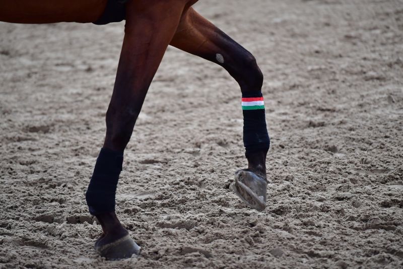 Campionati del Mondo di Volteggio: inviate le iscrizioni nominative