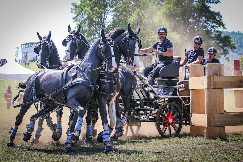 Campionati del Mondo Tiro a Quattro: Luca Cassottana convocato