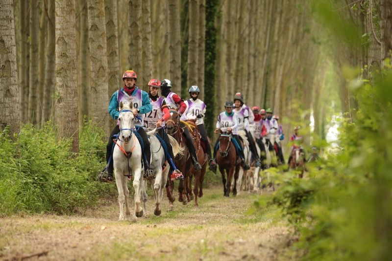 L’Italia rilancia con Pisa San Rossore la candidatura per il FEI Endurance World Championship