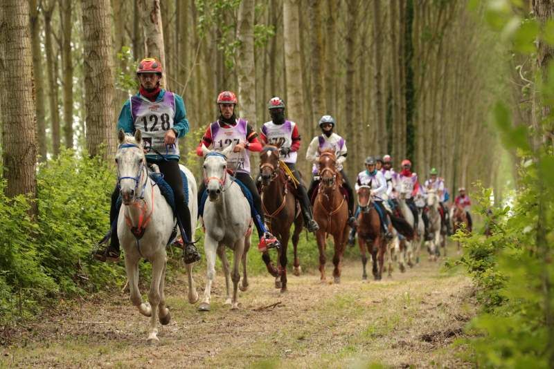 Campionati Italiani di Endurance 2022 Open: 241 iscritti si contenderanno ben 12 titoli a San Rossore 