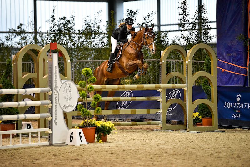 ArenaFISE: i primi responsi del Best Rider Safe Riding 