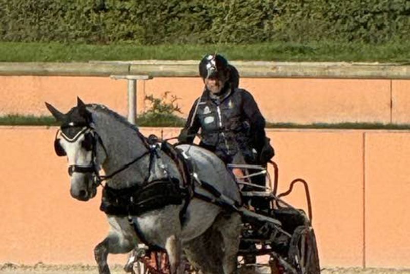 Cividini a Lamotte-Beuvron per il Mondiale giovani cavalli 
