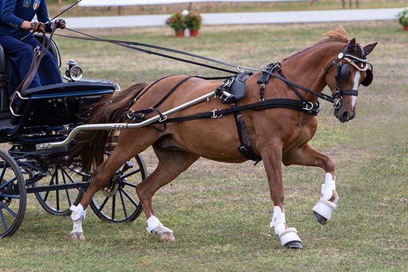 Due driver azzurri a St. Margarethen