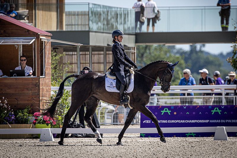 Aggiornamento riprese FEI Concorso Completo