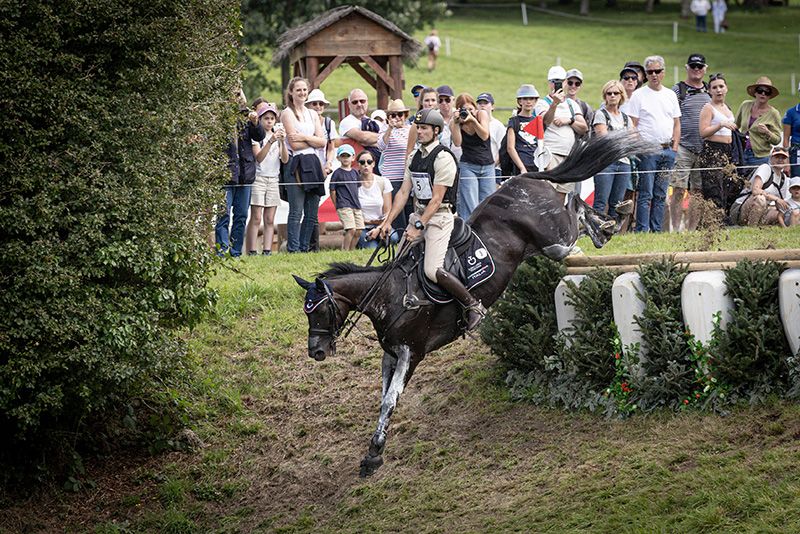 Europeo di Completo all’Haras du Pin: Italia nona dopo la prova di campagna