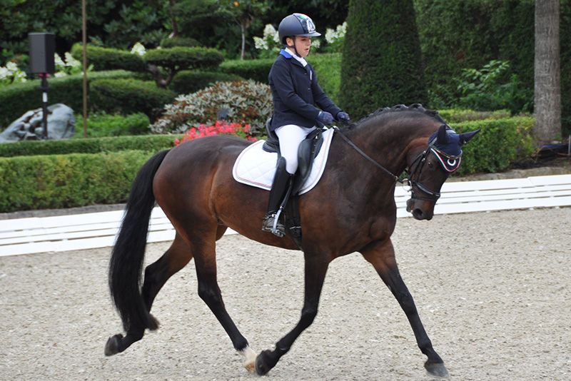 Matteo Borghesi in evidenza a Sint-Truiden