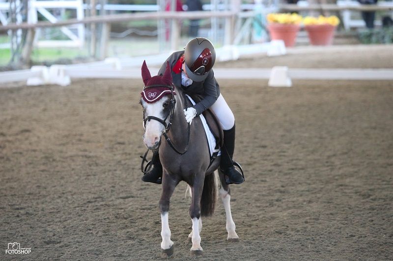 Dressage, Coppa delle Regioni e Campionato delle Scuole: ecco le timetable