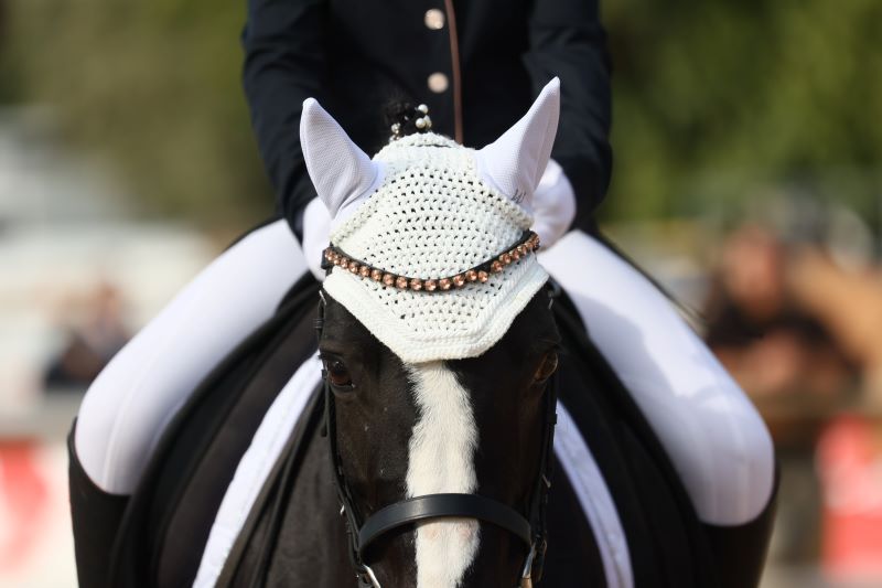 Campionati Europei Pony Dressage: inoltrate le iscrizioni nominative