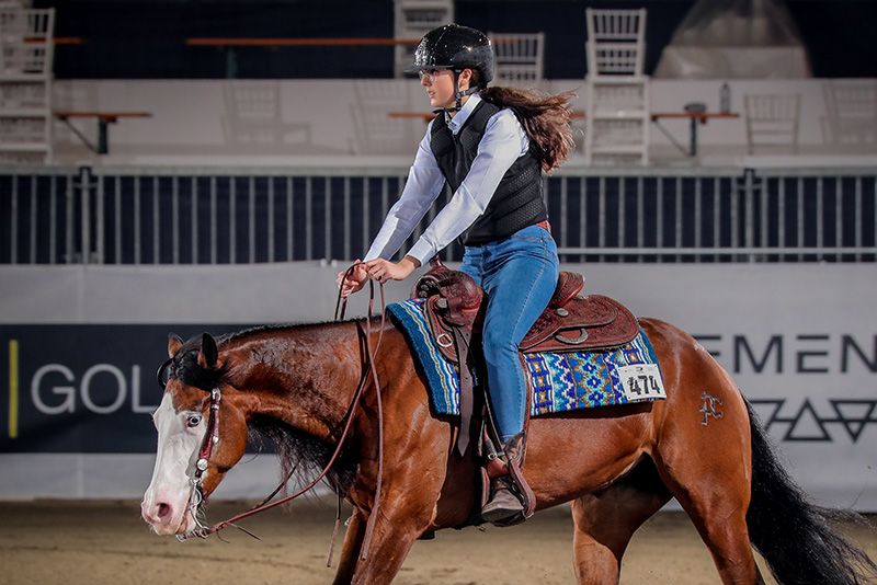 Reining, Saggio delle Scuole: dal 12 al 15 dicembre all’Elementa Performance Horses