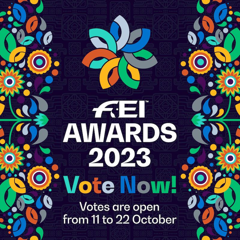 FEI Awards 2023: Valeria Bonfiglio 