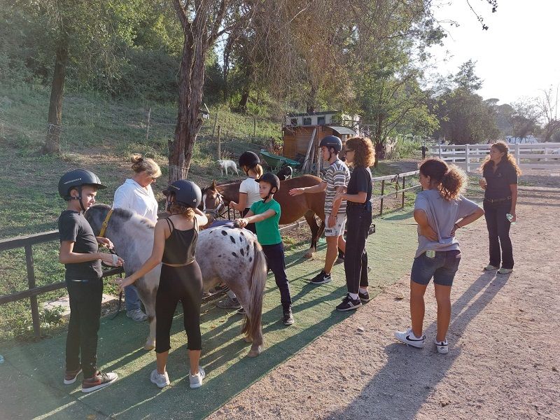 Io sento con il cavallo - nel segno del cavallo