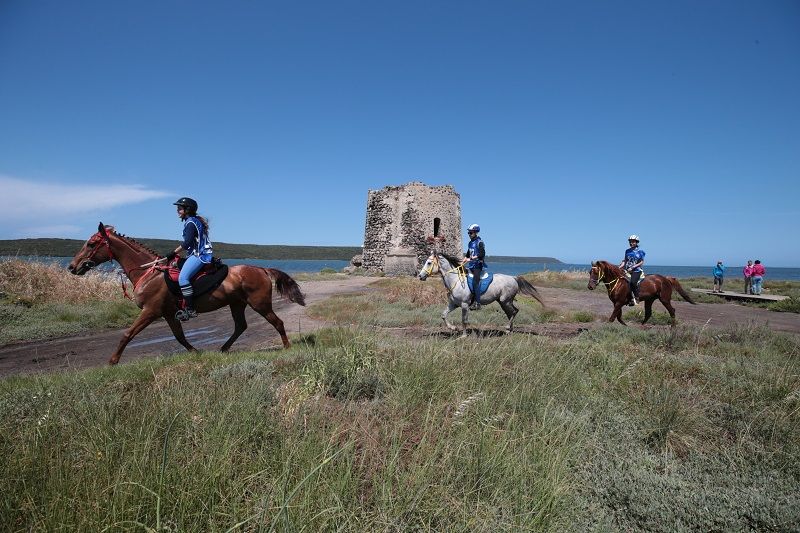 Endurance European Championship for Young Riders & Juniors e FEI Endurance World Championship for Young Horses: dal 26 al 29 settembre ad Arborea  