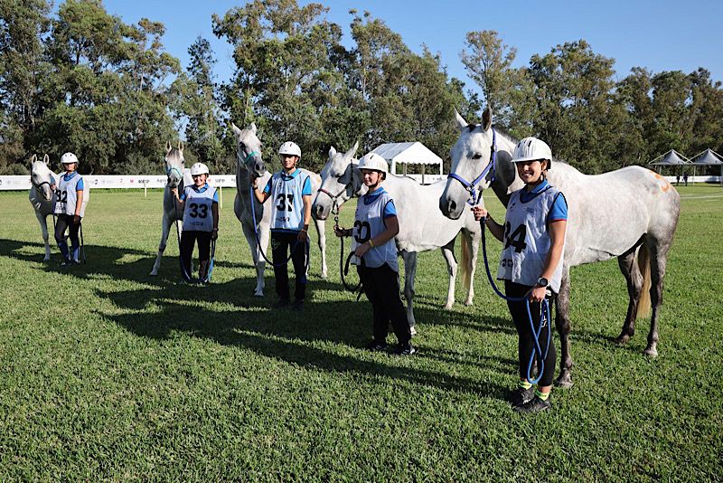 FEI Endurance European Championship Young Rider e Junior e FEI Endurance World Championship for Young Horses: gli azzurri al via 