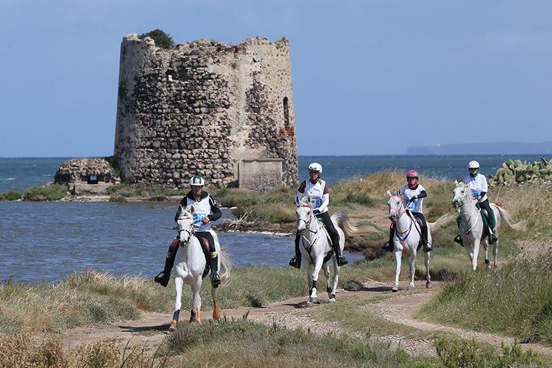 Sardegna Endurance Festival: ad Arborea l’Europeo Young Riders/Junior e il Mondiale Giovani Cavalli 2024