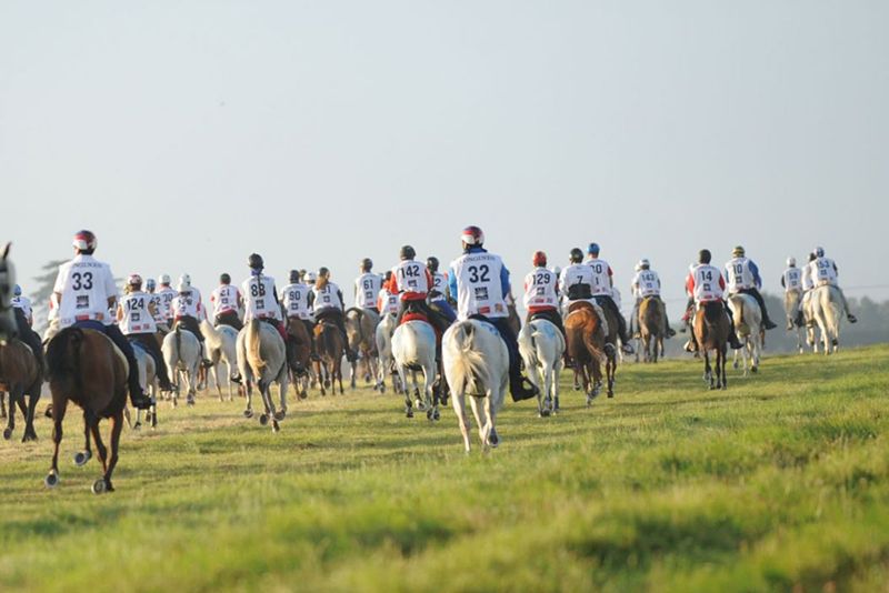 Endurance: definite le assegnazioni del calendario federale 2026 