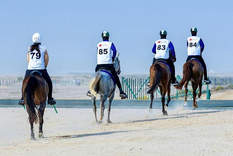 Savini quarta a Ehrhardt, Marras sesta a Dubai. Vigevani in gara a Butheeb