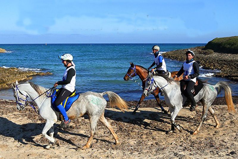 Endurance internazionale in Puglia e cavalli giovani protagonisti