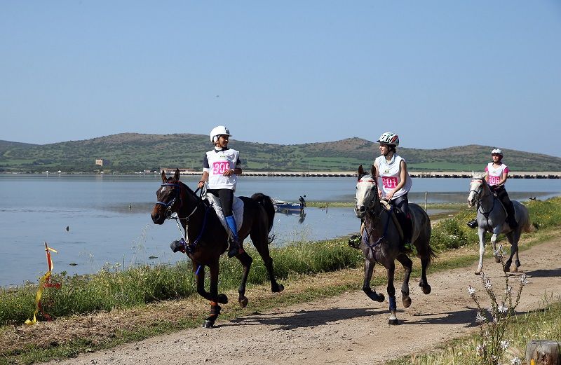 FEI Endurance European Championship for Young Riders & Juniors e FEI Endurance World Championship for Young Horses, numeri da record: 29 nazioni, 138 atleti e 153 cavalli