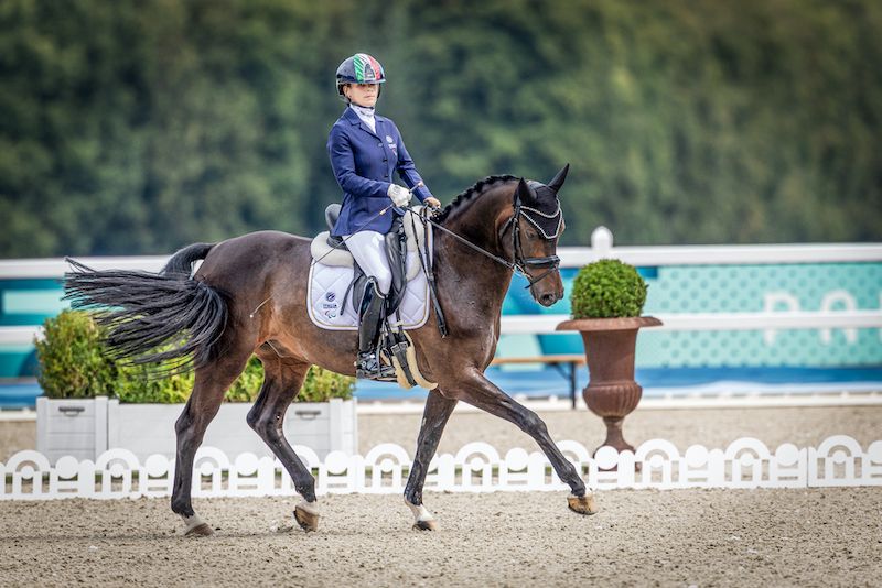 Sileoni sugli scudi a Waregem