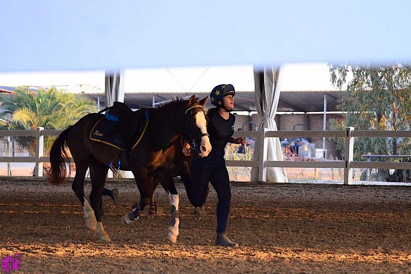 Trofeo Federale Mounted Games: tutto pronto per la prima tappa
