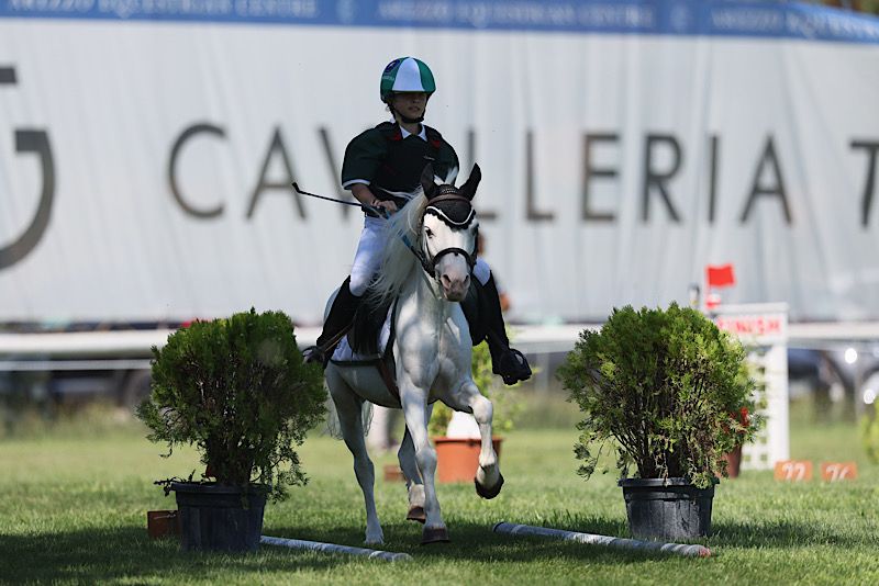 Lombardia generica