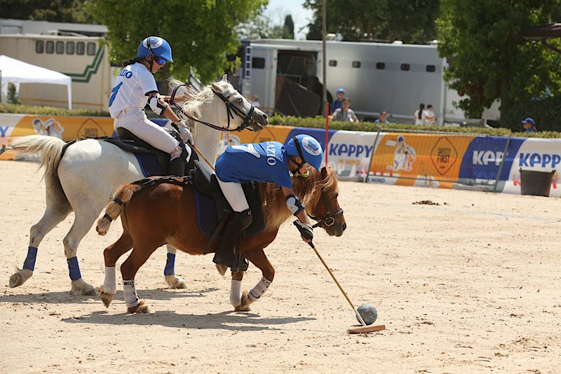 PONYADI POLO