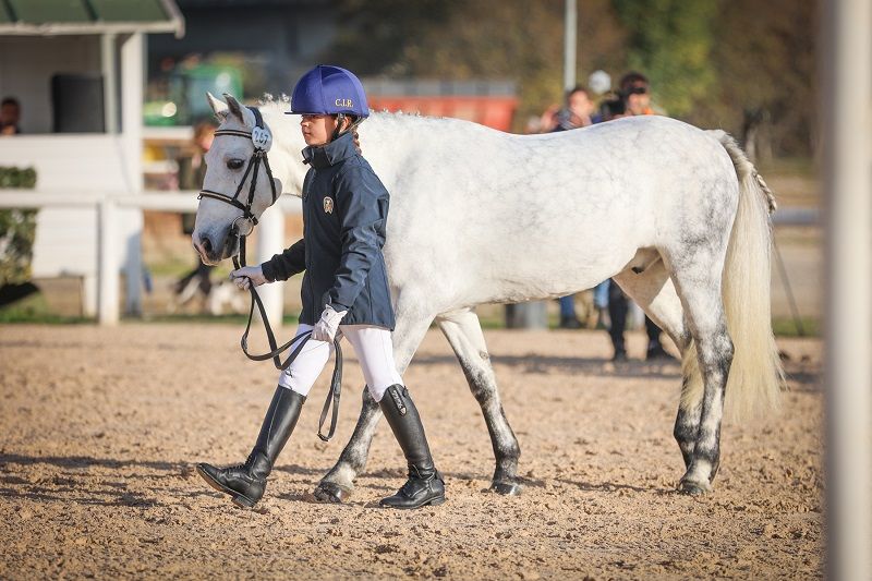 Misurazione Pony FEI: il modulo di preiscrizione