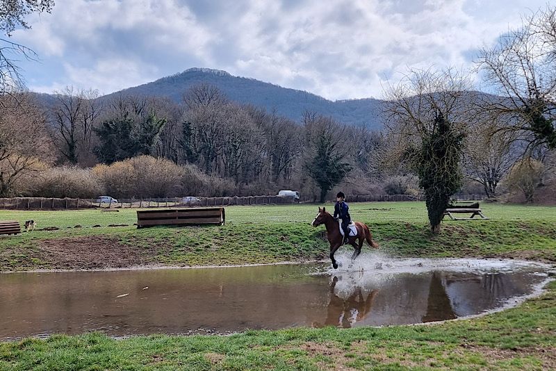 Corsi Stanziali 2024 al Centro Equestre Federale Ranieri di Campello