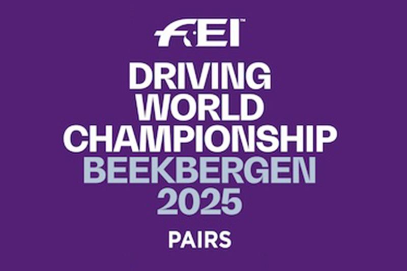Cinque driver azzurri ai Campionati del Mondo Pariglie di Beekbergen 
