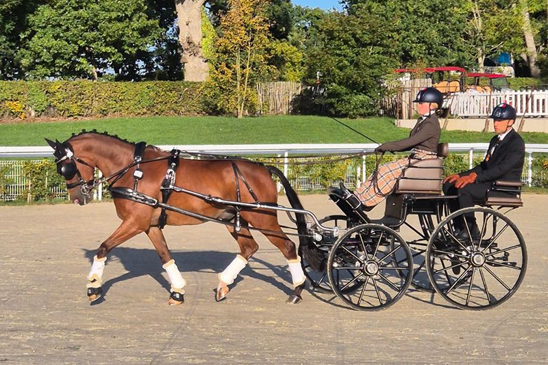 Attacchi: la prova di Ranzetti Bricchetti al Mondiale Pony di Le Pin au Haras