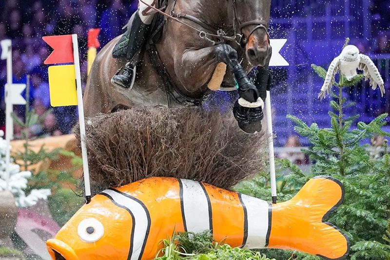 Portale nel CIX-Arena di Ginevra