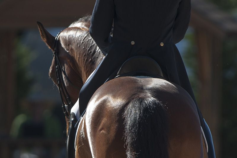 Dressage: Coppa delle Regioni e Campionato delle Scuole. Iscrizioni aperte