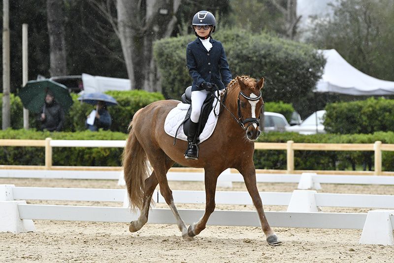 Tornano i Master Centro Nord e Centro Sud di Dressage: ecco la data di apertura delle iscrizioni