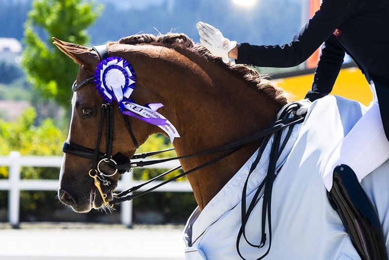 Dressage: Ornago si prepara ad ospitare il CDI di metà marzo 