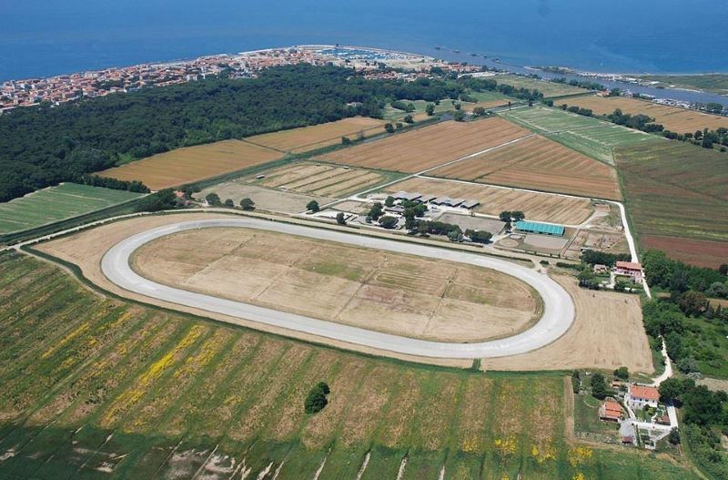 Da Marina di Pisa i migliori cavalli giovani da endurance del 2025