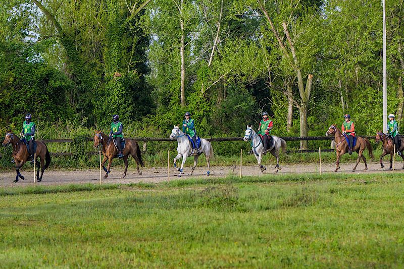 Annullamento stage federale Endurance