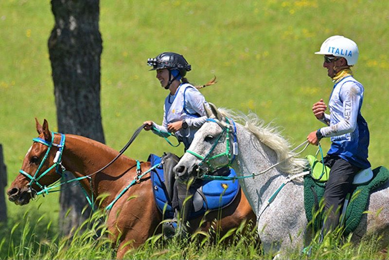 Giudici di Endurance: il 23 marzo un corso di aggiornamento e reintegro
