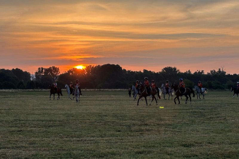 FEI: il Forum mondiale dell’Endurance equestre arriva in Umbria. Il futuro della disciplina parla italiano