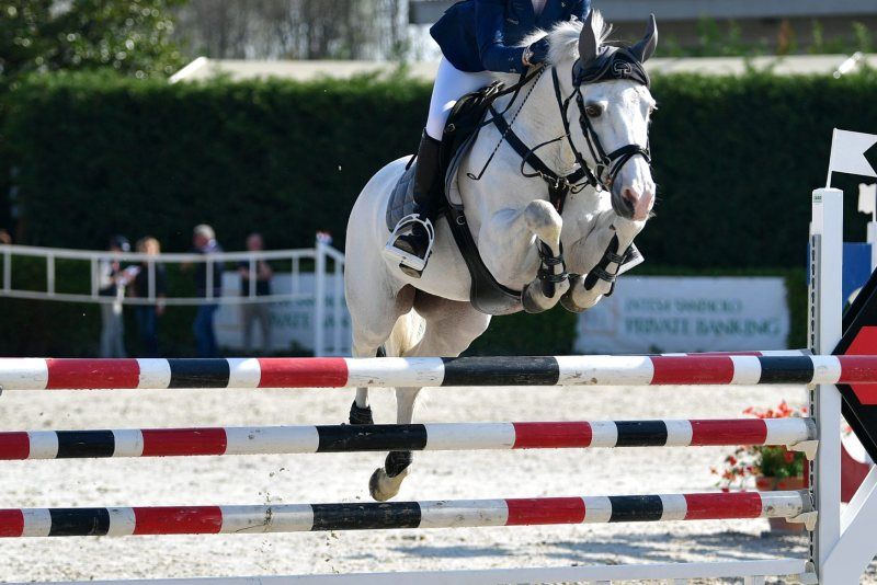 FEI: Misurazione Pony. Il 17 febbraio ad Arezzo 