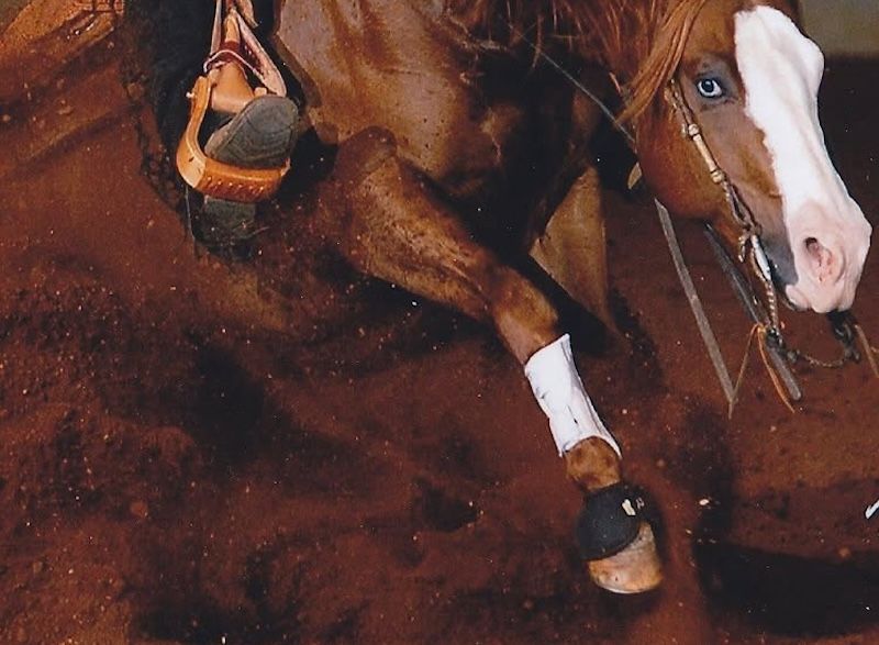 Reining, Saggio delle Scuole e la Finale del Campionato Italiano Pony