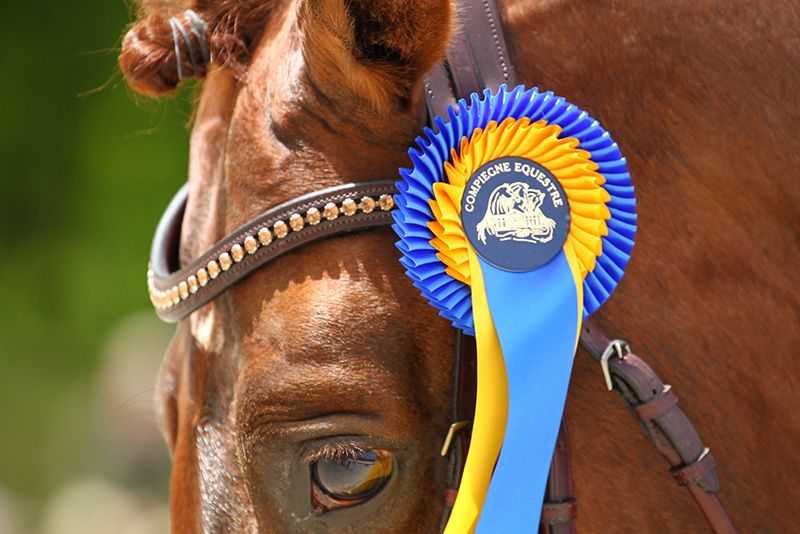 Convocati gli azzurrini per lo CSIO Youth di Compiegne