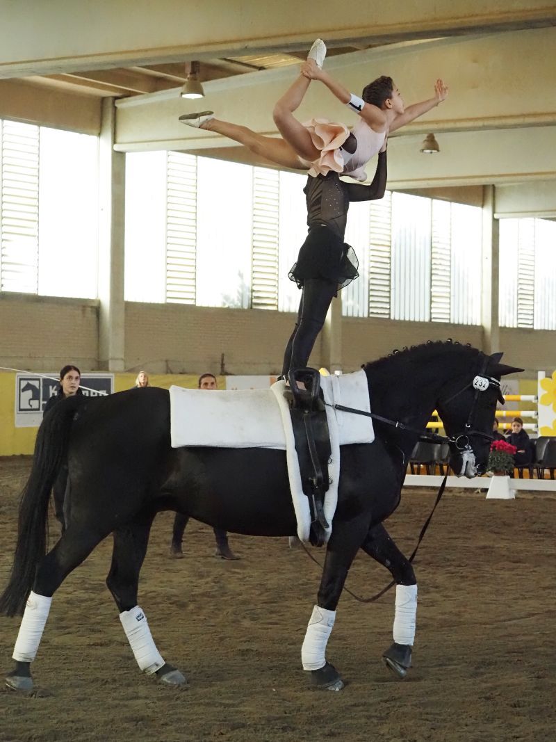 Campionati Italiani Volteggio 2025: tre giorni di spettacolo e tecnica al Marena Performance Horses