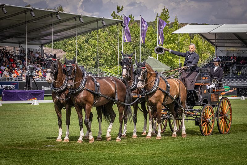 Aachen 2026: Attacchi. Luca Cassottana 26esimo dopo il dressage 
