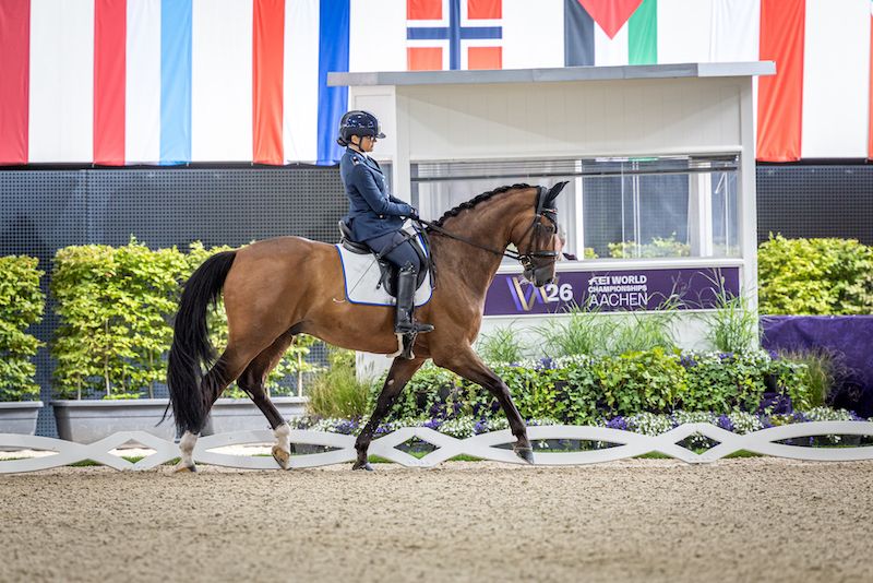Aachen 2026: Paradressage. Ottima partenza dell’Italia nella gara a squadre