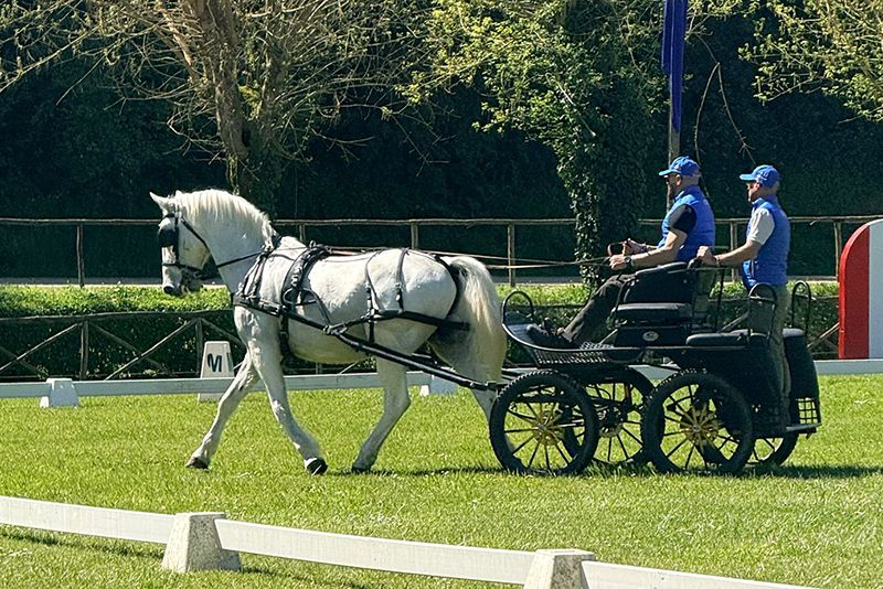 Attacchi: ecco il programma dei Campionati Italiani di Combinata e Campionati Italiani Derby