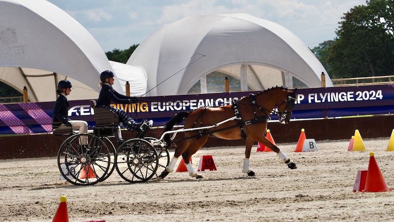 Campionati Europei giovanili di Attacchi: ecco gli azzurrini convocati